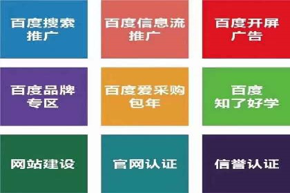 抖音信息流广告投放策略及成功案例解析